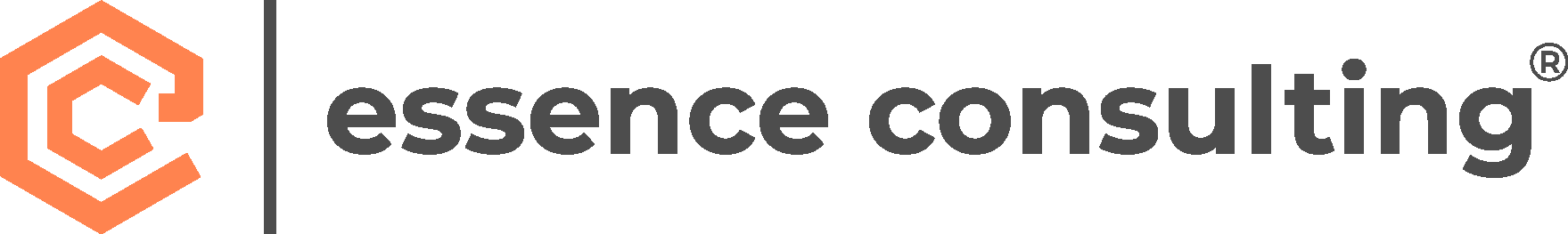 Essence Consulting GmbH — zur Startseite